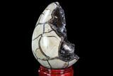 Septarian Dragon Egg Geode - Crystal Filled #88293-1
